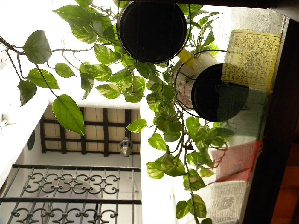 Pension Correo Tarifa 0*,
